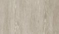 ivory coast oak 05